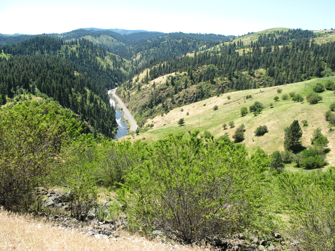 Looking down the to the Clearwater River from halfway up Harpster Grade east ofGrangeville