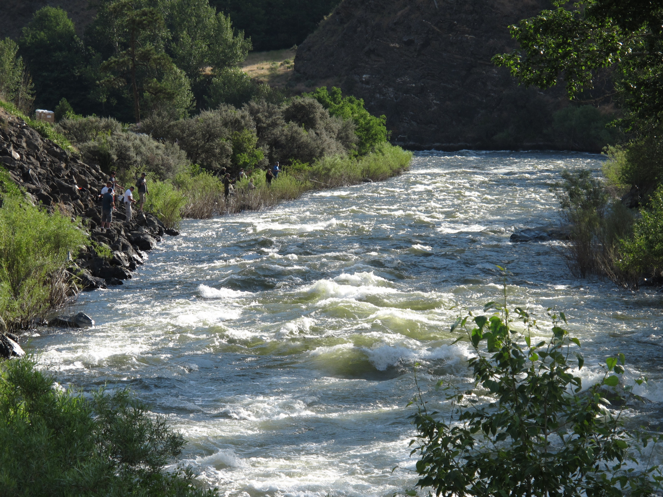 Fishermen line the bank of the Little Salmon River