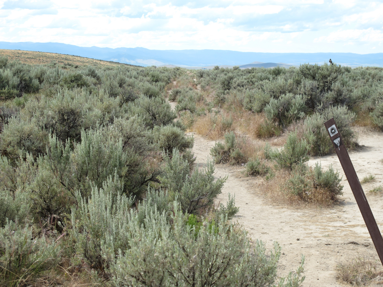 On the approach ot Baker City, ruts from wagons traveling along the Oregon Trail in the 1840's are still visible