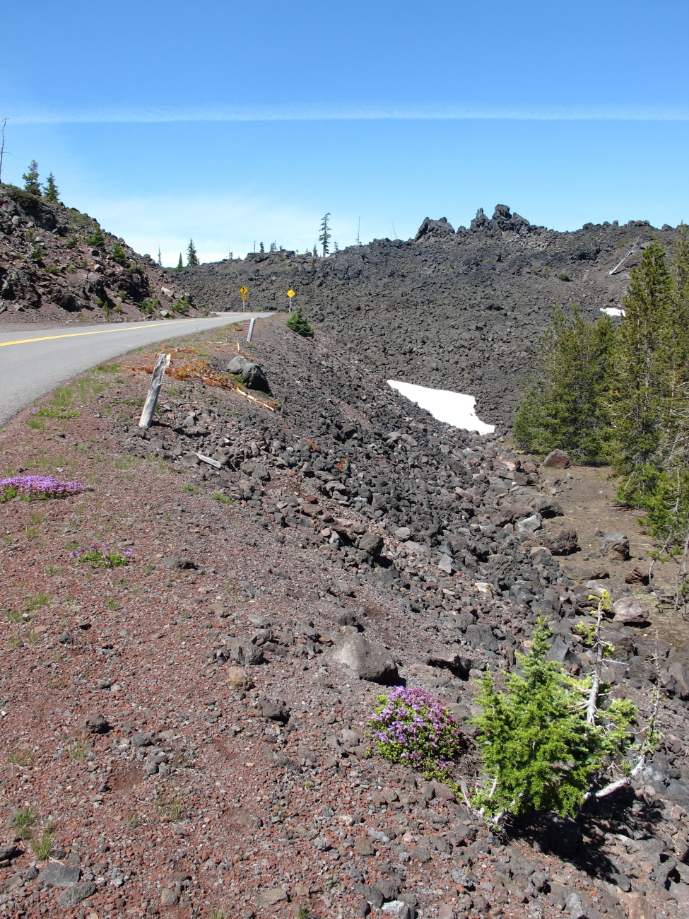 Volcanic terrain on the road up McKenzie Pass passing over the Cascades
