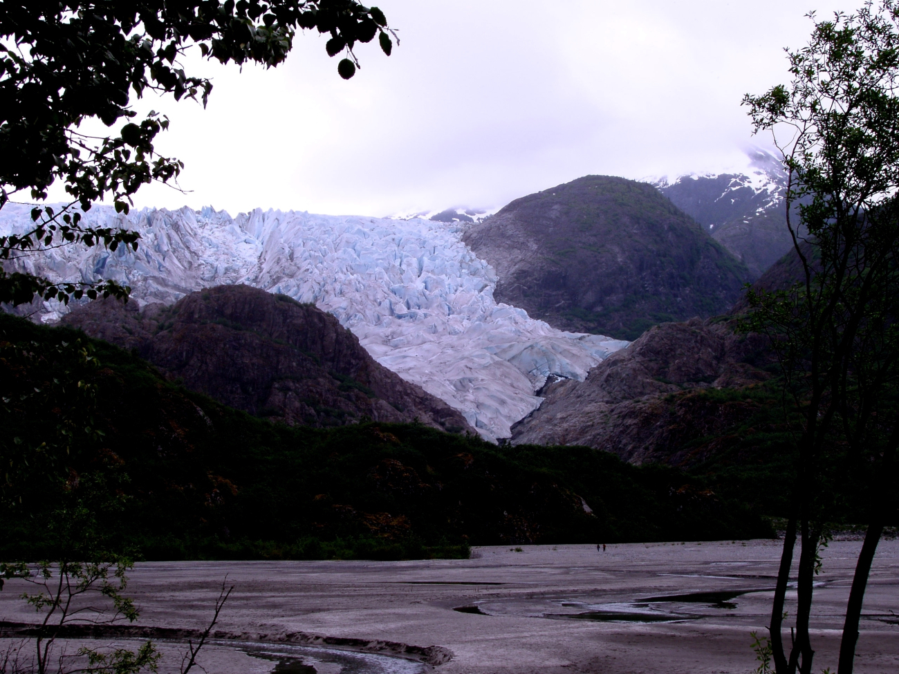 The terminus of Herbert Glacier