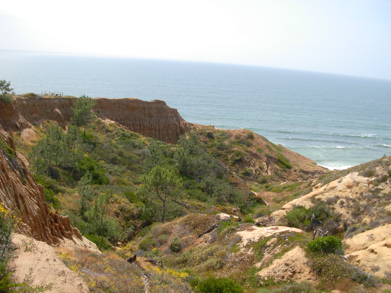 Looking down an arroyo at Torrey Pines State Park to the Pacific Ocean