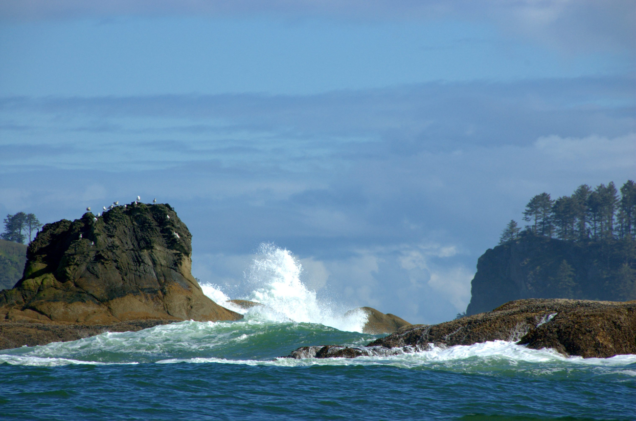 Spray flying high from waves crashing on an offshore reef along the OlympicPeninsula