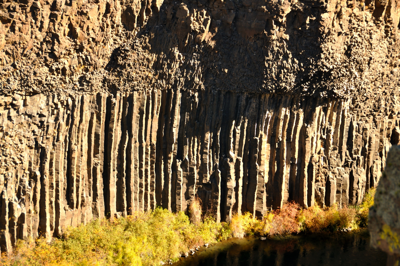 A classic example of columnar jointing in an outcrop of Columbia River basalt
