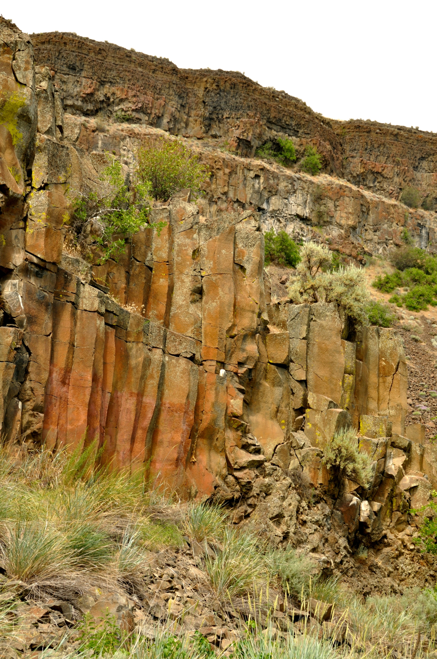 Columnar jointing in Columbia River basalt flows