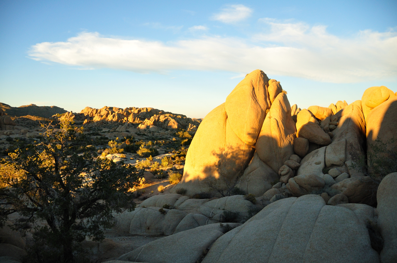 Granitic boulders lit up in the late afternoon sun at Joshua Tree NationalMonument