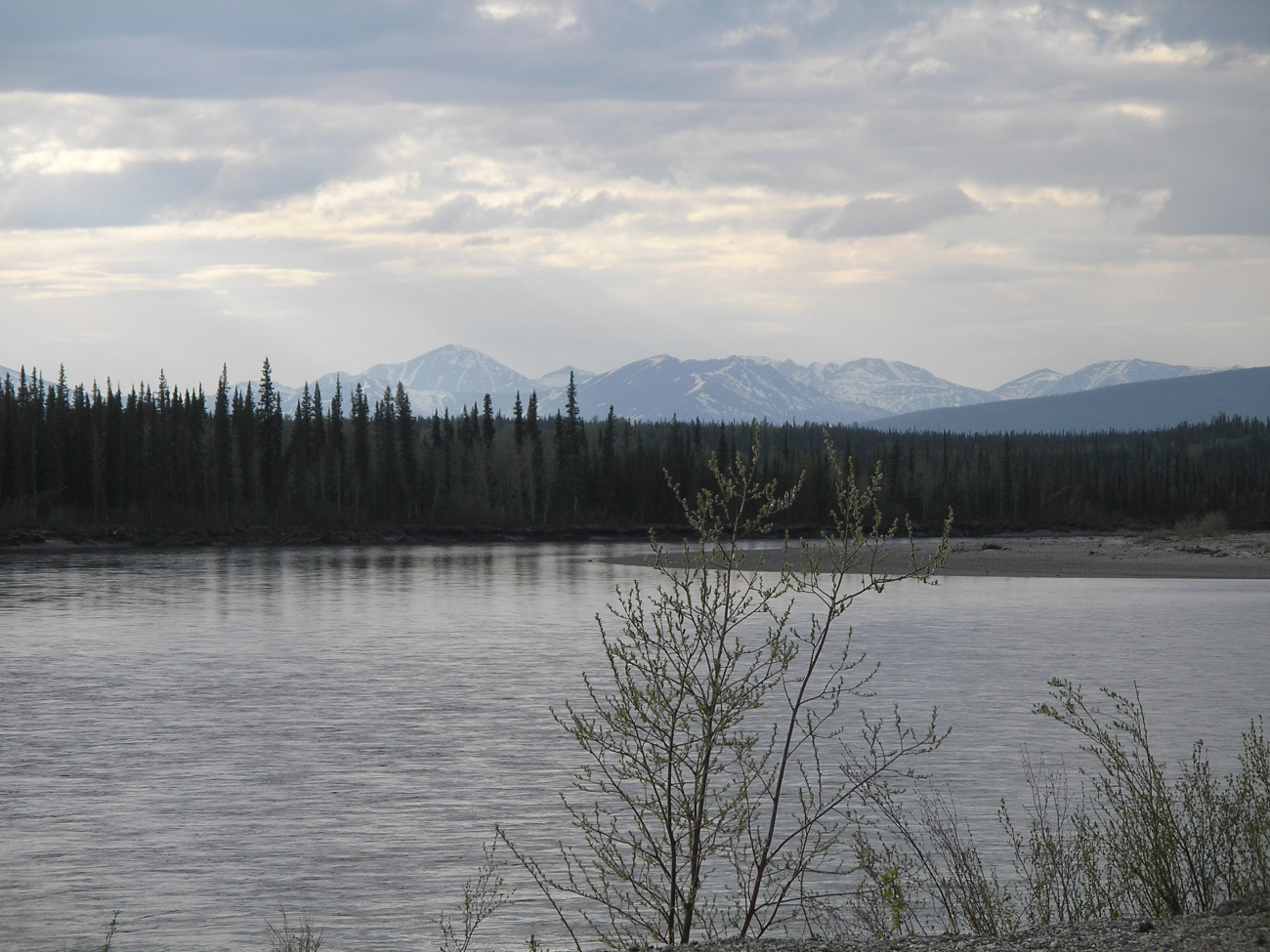 Koyuyuk River at Bettles, Alaska