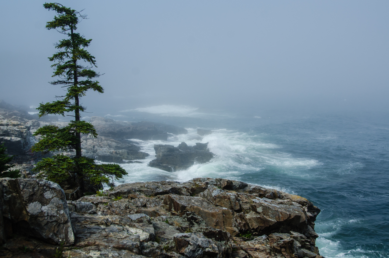 The sea and wind pound the Acadia National Park shore on a misty summer morning