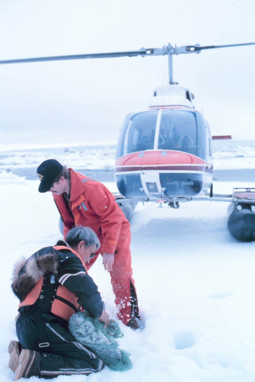 Helicopter transport for scientists during seal tagging operations