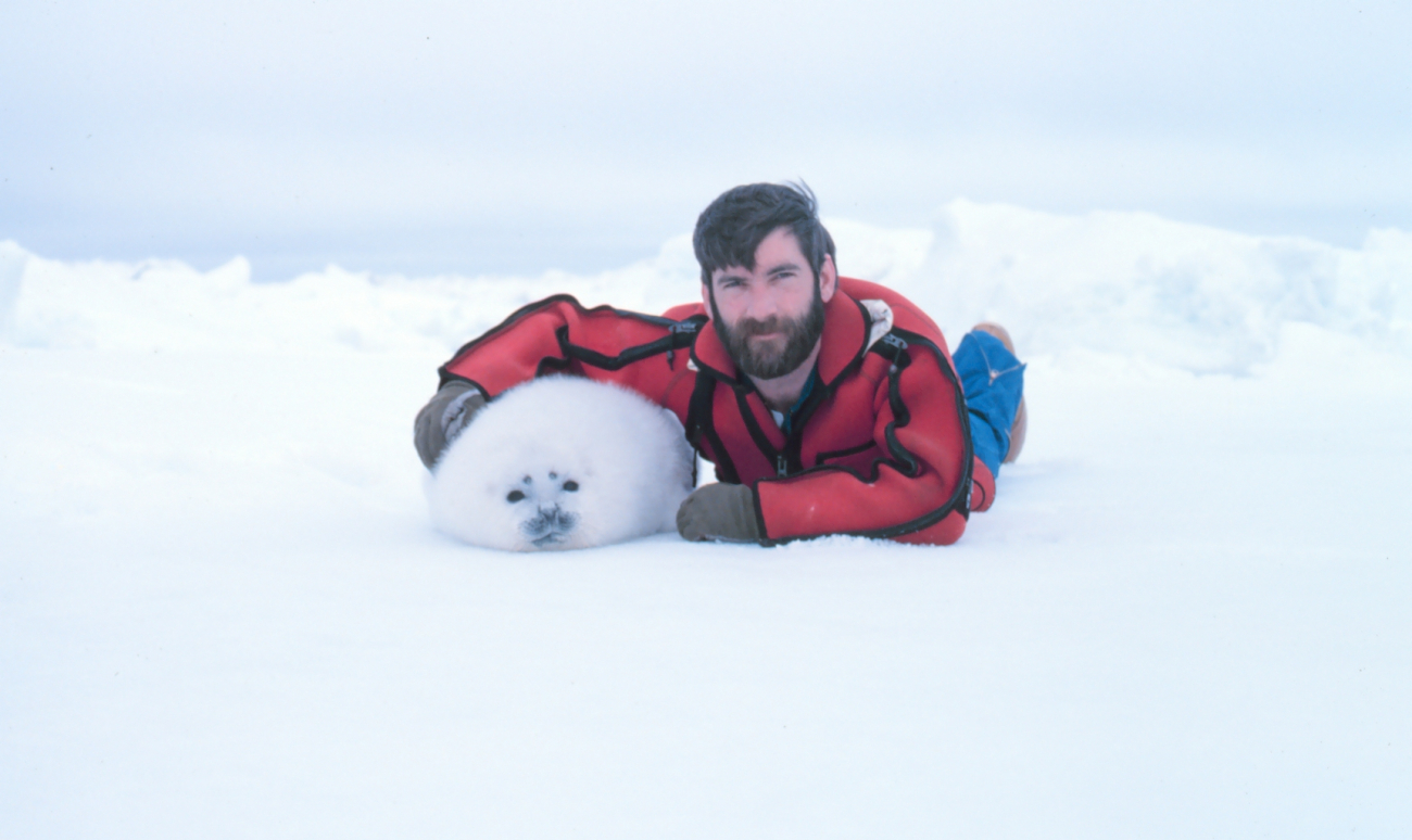 Helicopter pilot Budd Christman with a pal - ribbon seal pup, Phoca fasciata