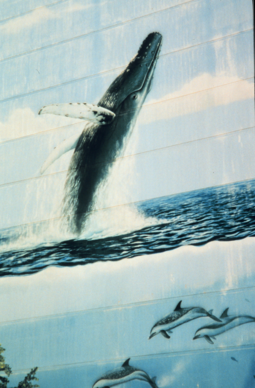 Building mural with humpback whale breaching and a dolphin below