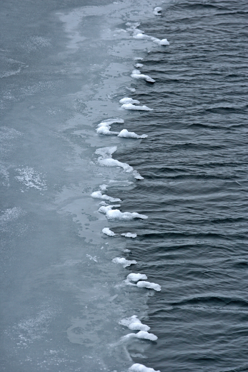 Grease ice forming as the Arctic Ocean cools with the approaching winter