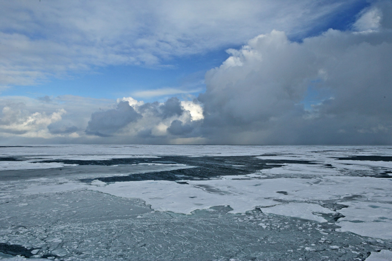 Ice in various stages of formation