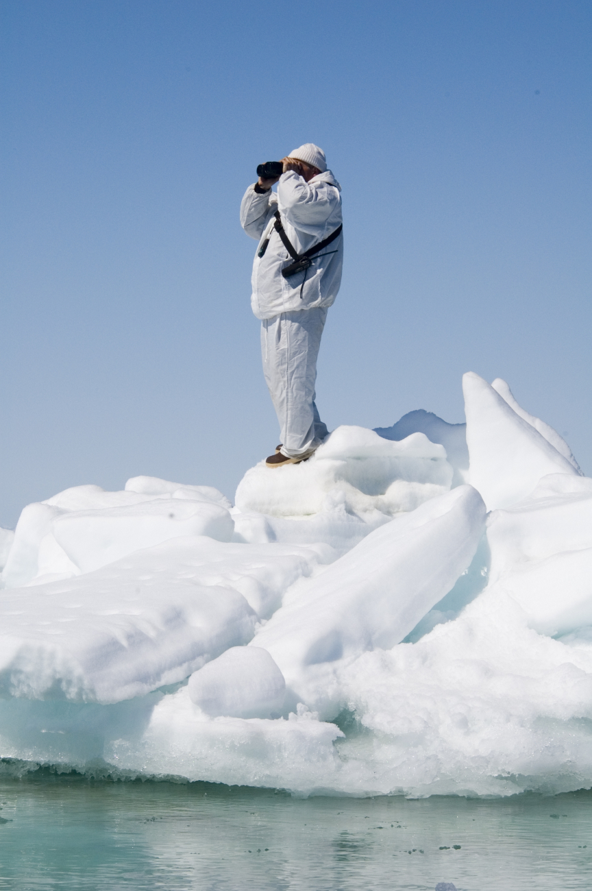 Researcher, standing on an ice floe, looking for a seal to capture