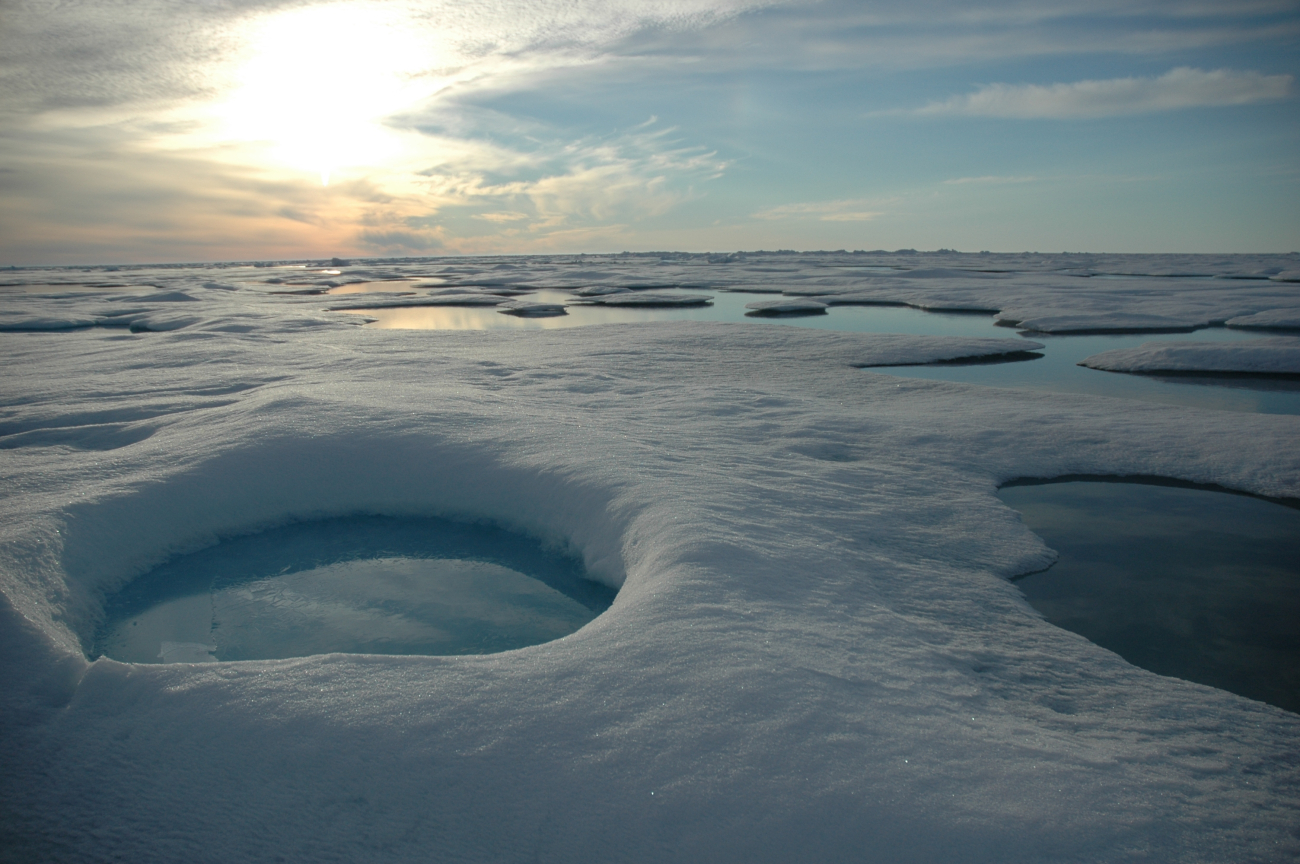 Round melt pools of fresh water on the surface of disintegrating ice flows