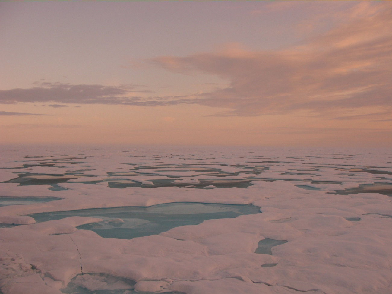 Melt pools and late summer ice absorb the soft hues of a low Arctic sun