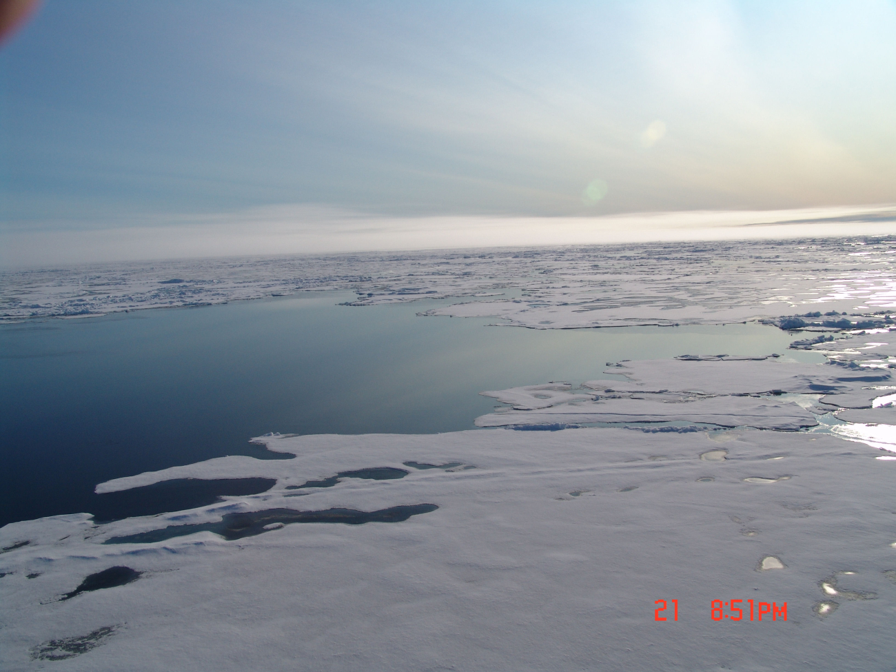 A small polynya (area of open water surrounded by sea ice)