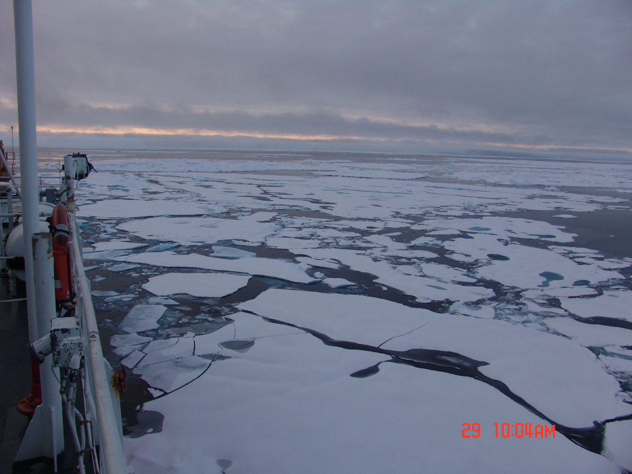 First year ice floes being relatively thin with a level surface