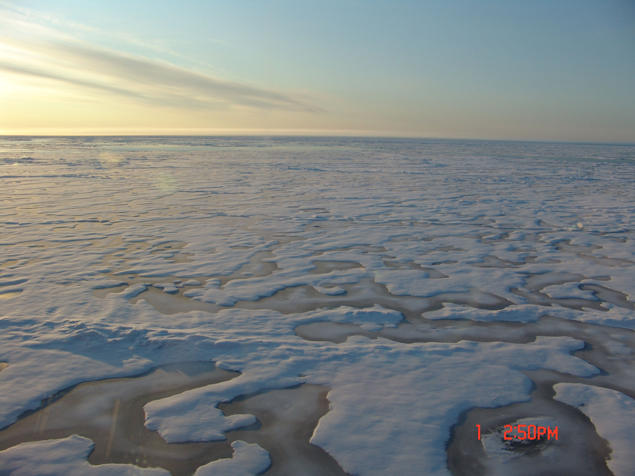 Refreezing melt pools and ice floes with a small polynya in the distance