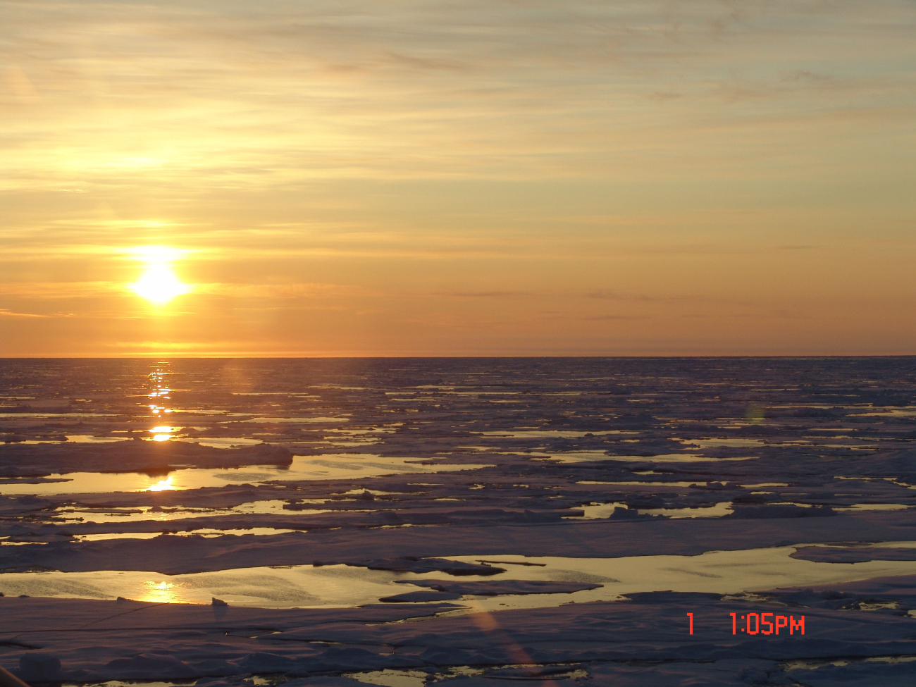 Ice floes, melt ponds and a golden sun