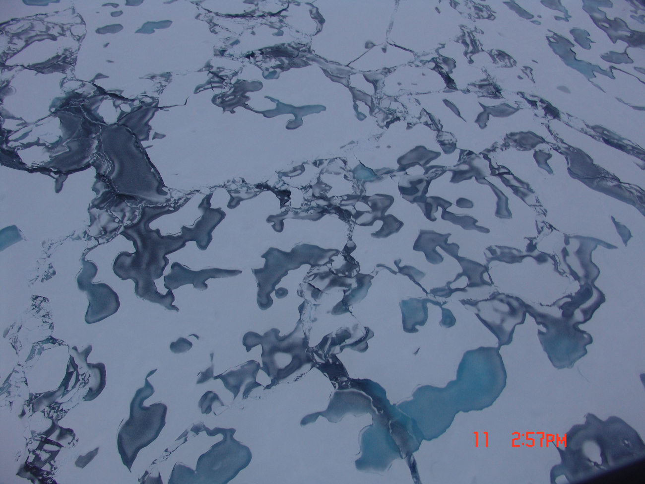 A helicopter view of the refreezing of ice flows and melt pools