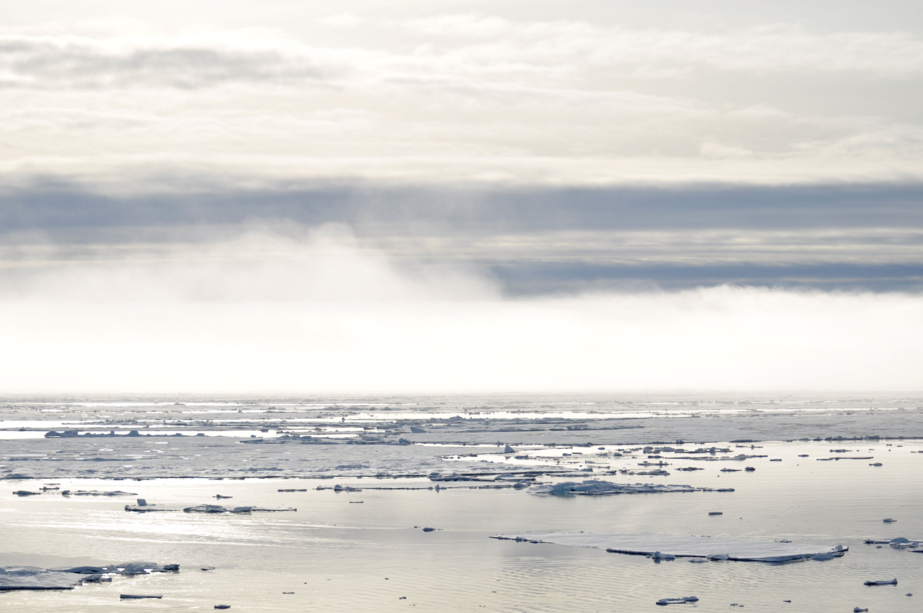 A wall of fog obscures the view of first year ice floes