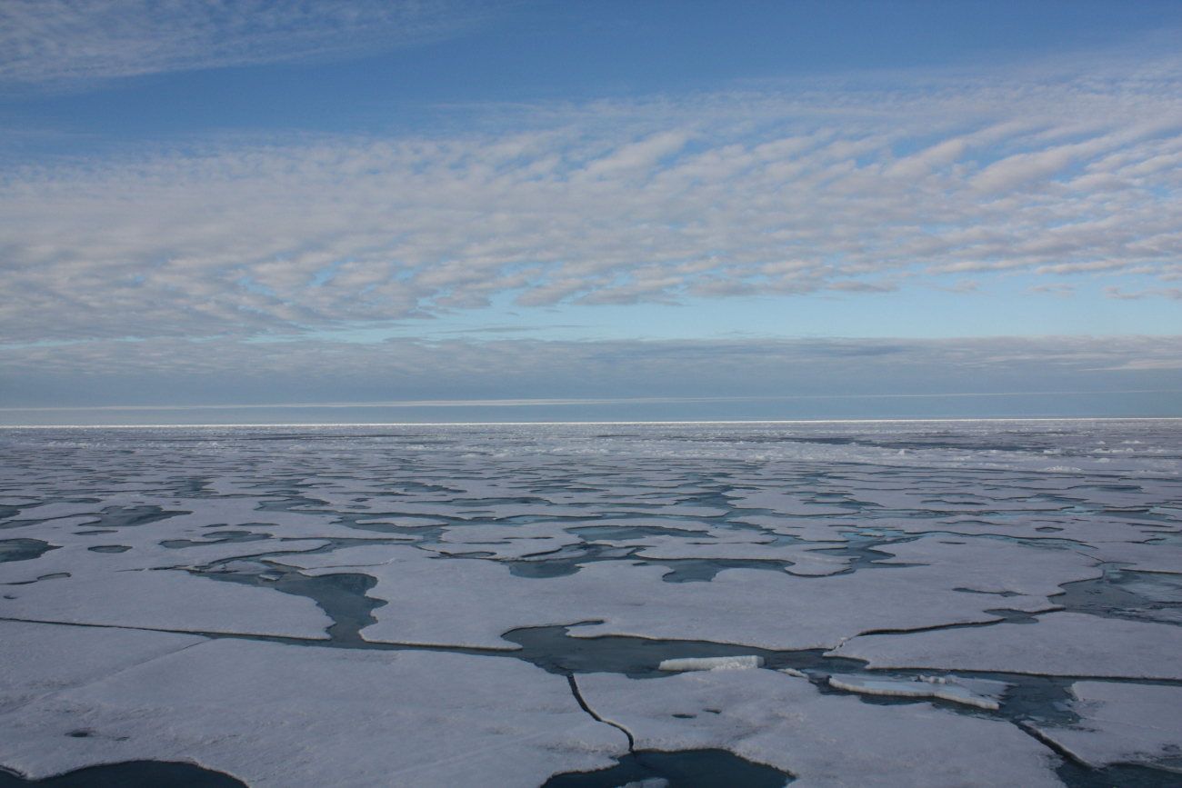 First year ice disintegrating into floes at the end of summer