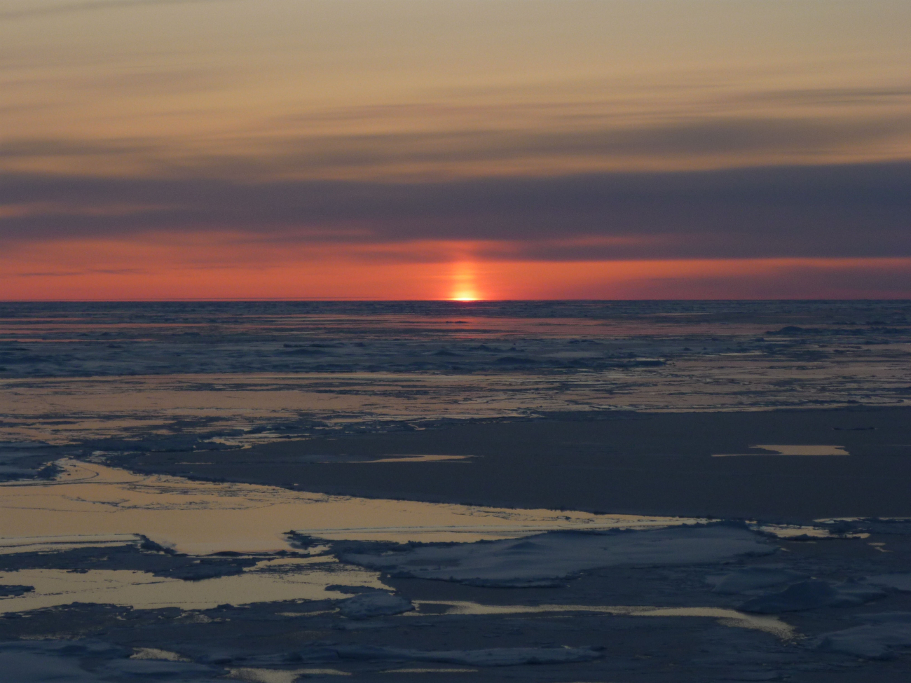 A sun pillar as sun dips below the horizon with ice floes and new ice
