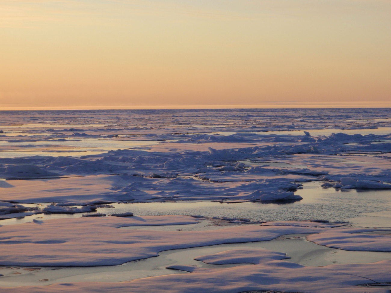 Ice floes freezing suffused with a light golden glow