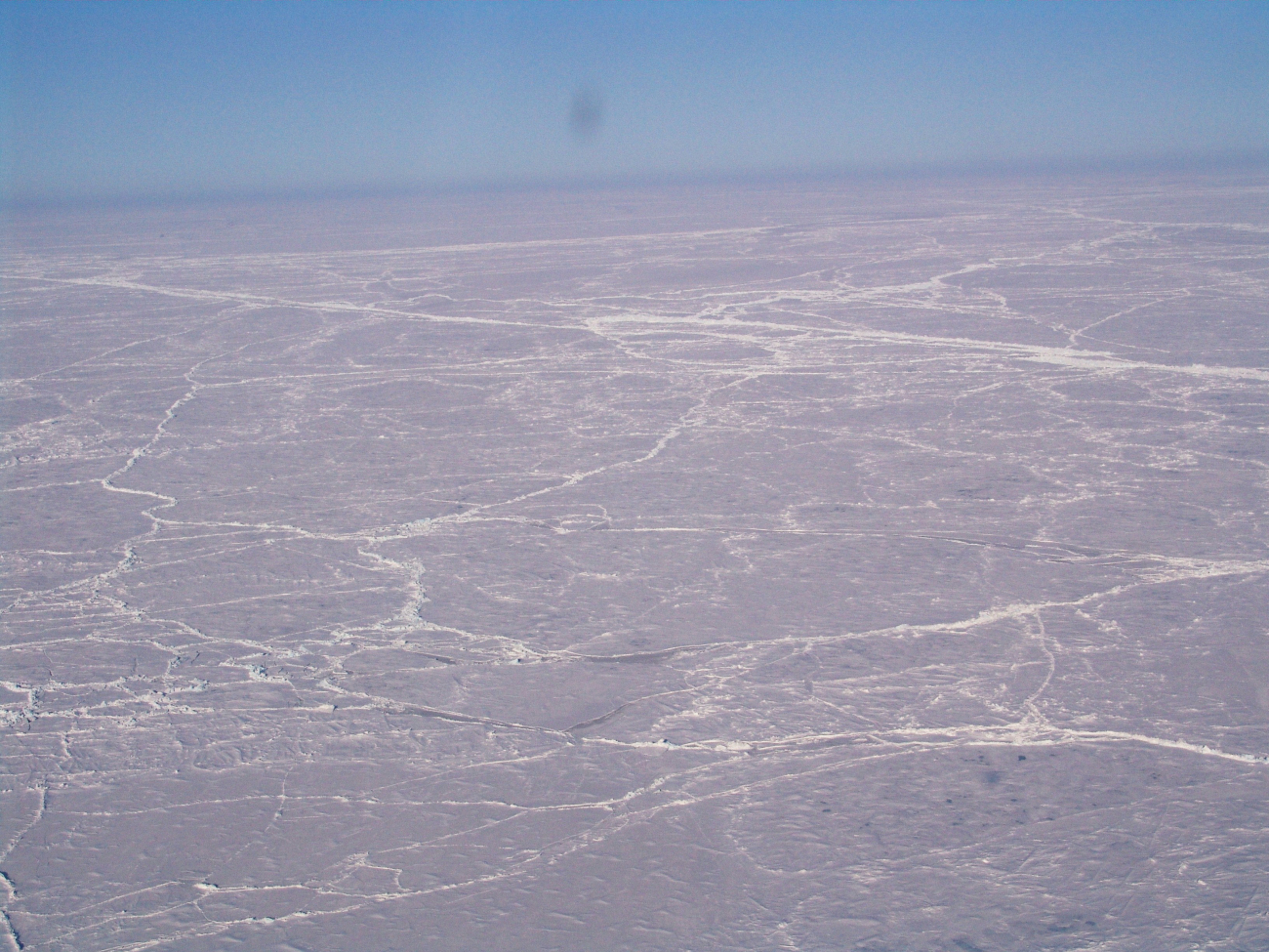Pack ice with pressure ridges criss-crossing in seeming random fashion