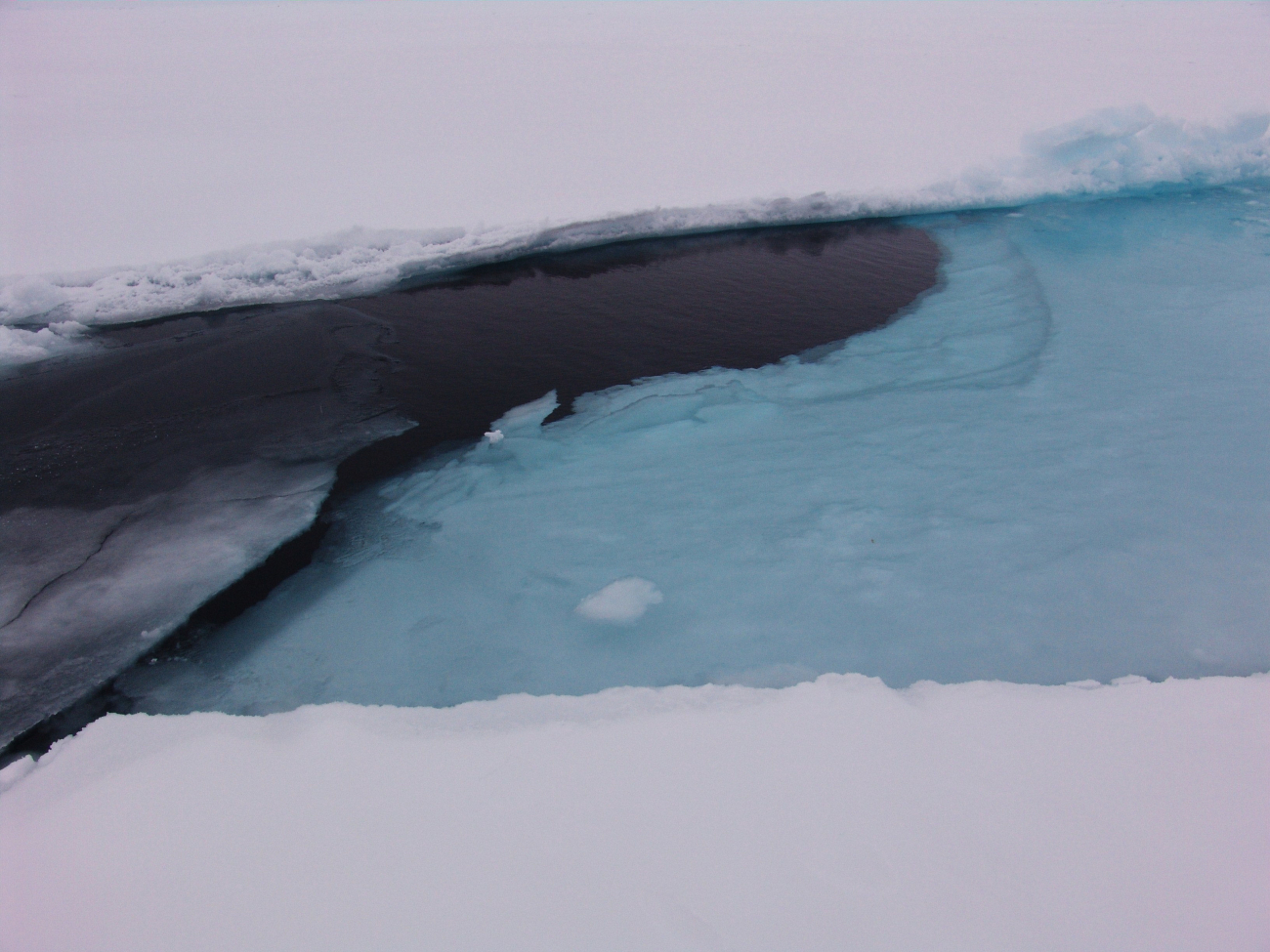 Snow surface of piece of an ice floe that has been pushed under water by thereclosing of a lead