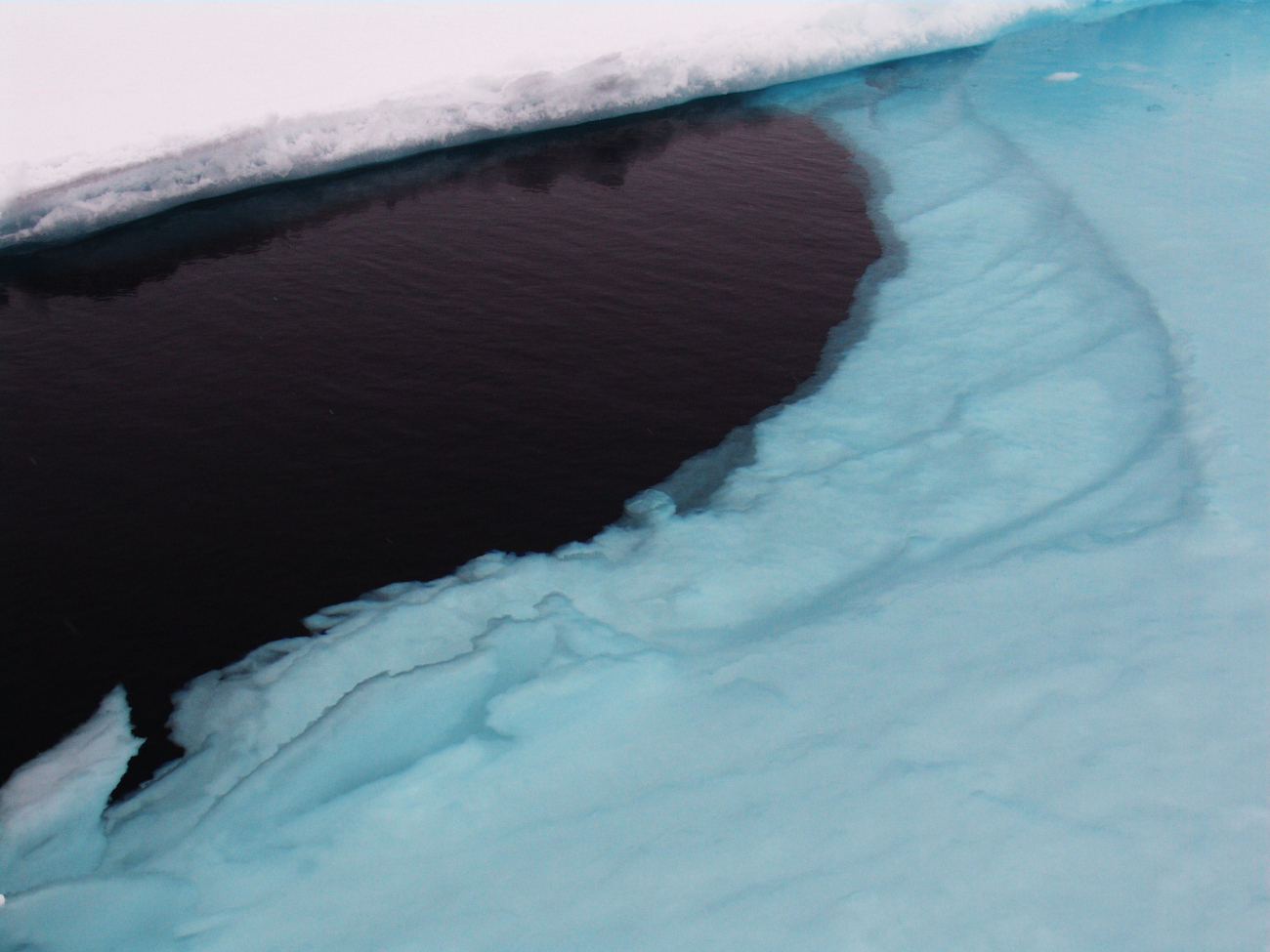 Snow surface of piece of an ice floe that has been pushed under water by thereclosing of a lead
