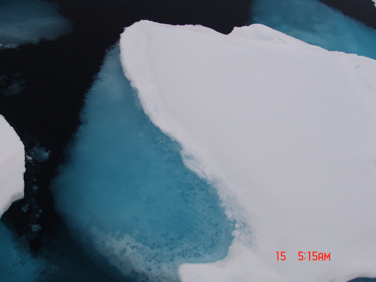 Honeycomb pattern in subsurface ice is indicative of melting and deteriorationof ice floe