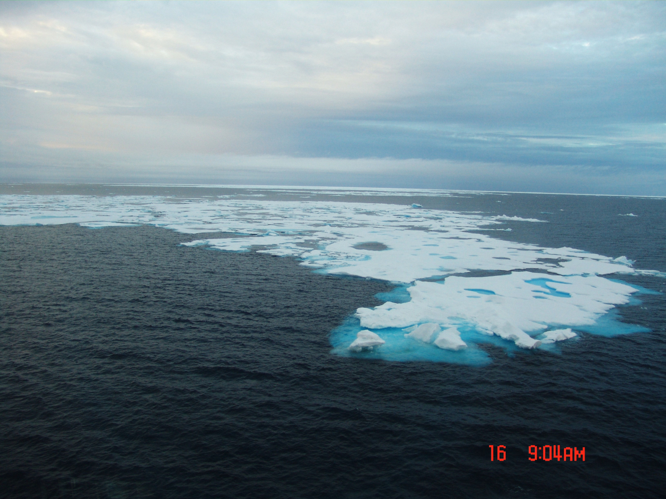 An ice floe in a large polynya
