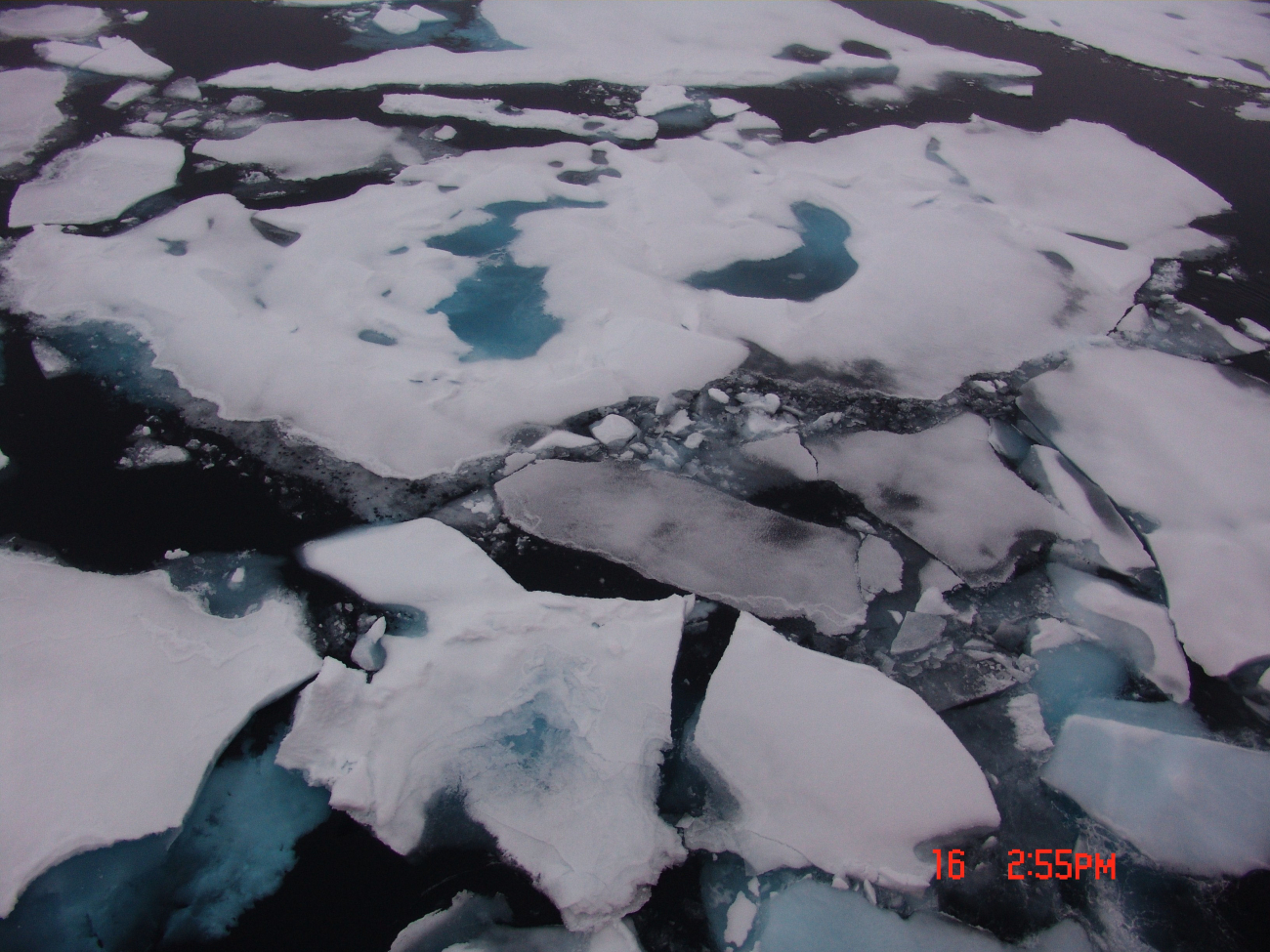 Ice floes with brash ice in the intervening spaces