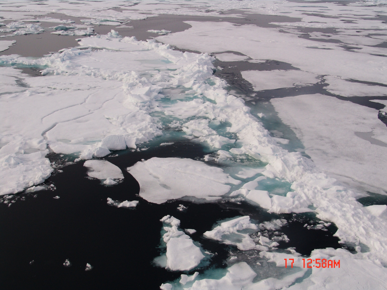 Ice floes with remains of ridge