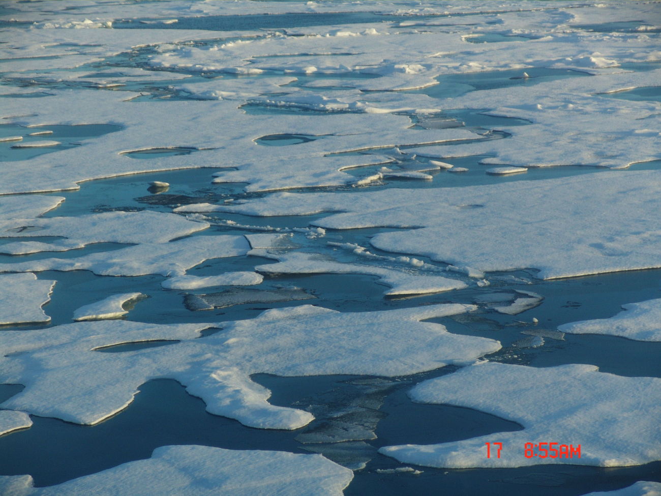 Ice floes and melt pools