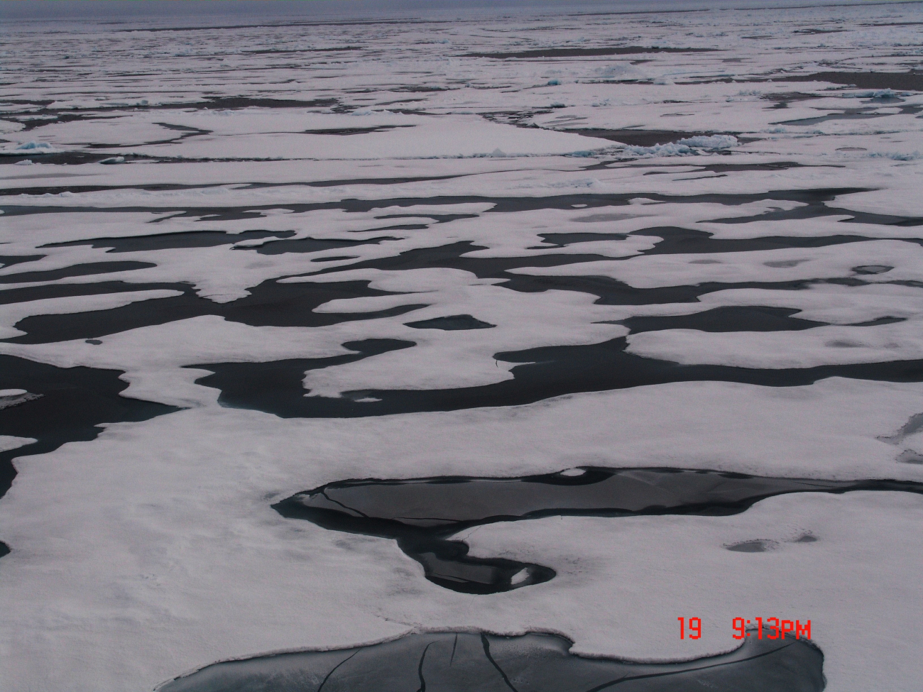 Melt ponds and ice floes