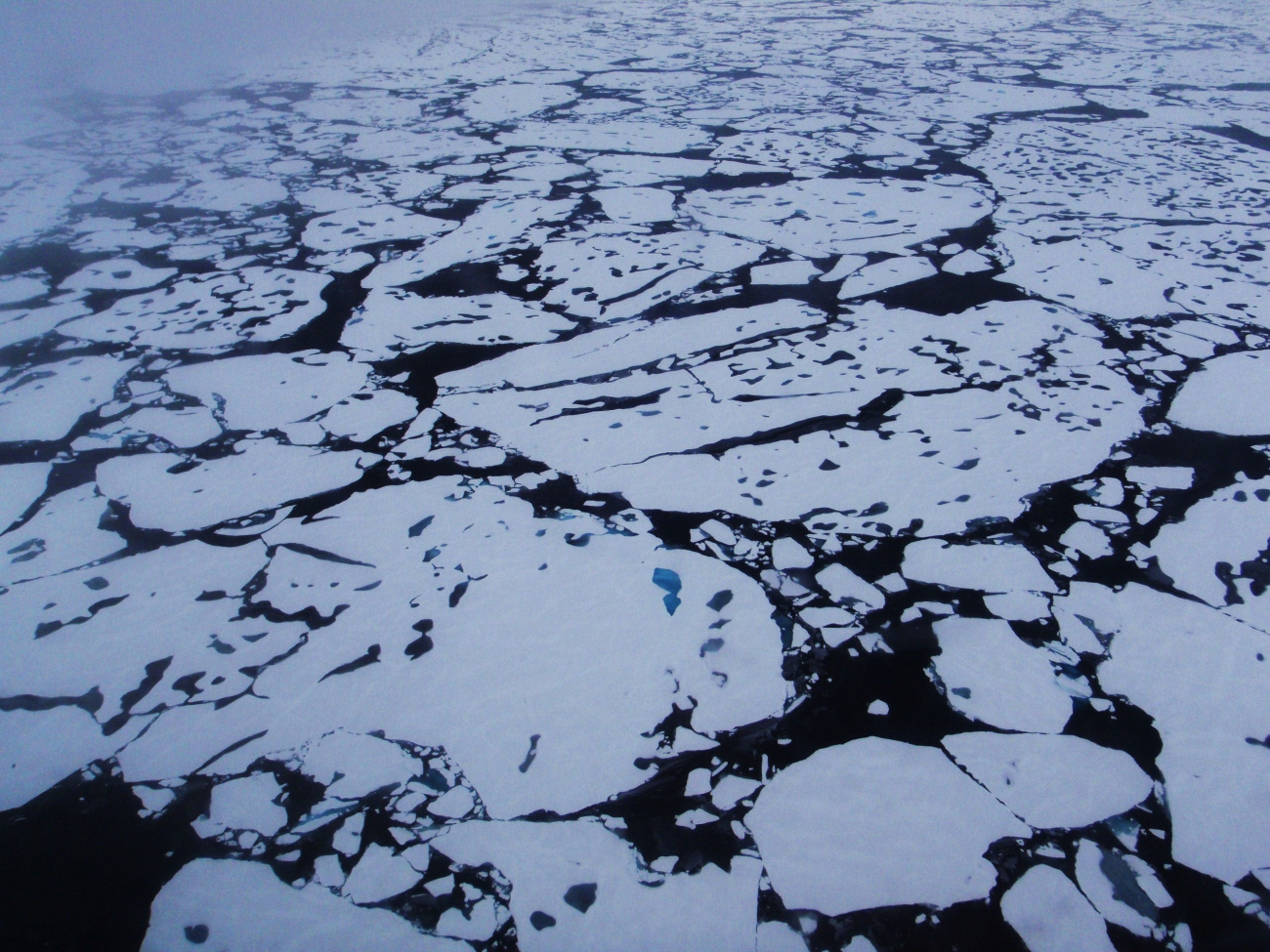 Helicopter eye view of ice floes, melt ponds, areas of brash ice, and otherphenomena