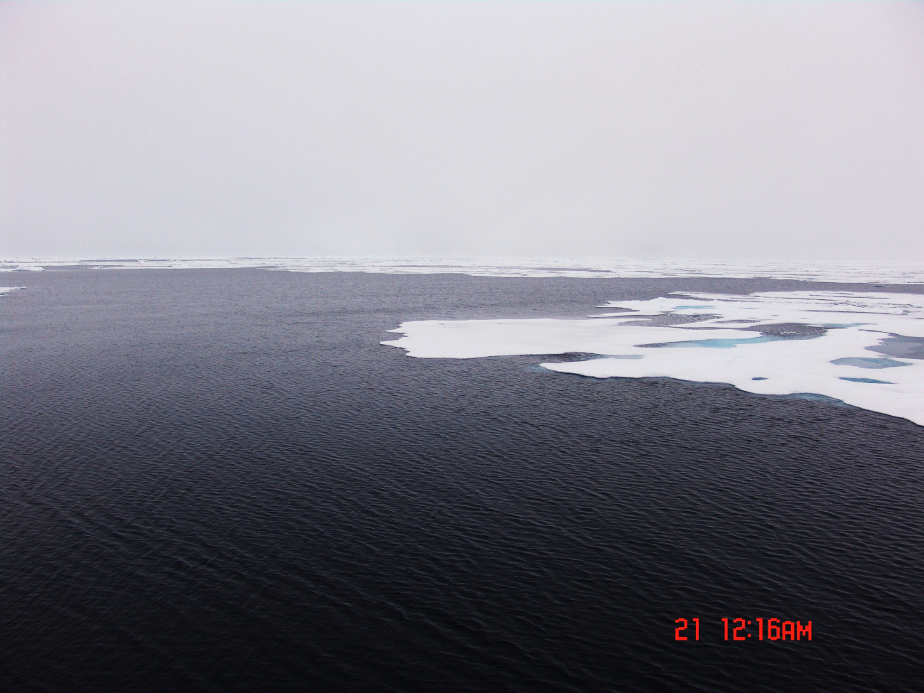 Ice floes on the edge of a polynya