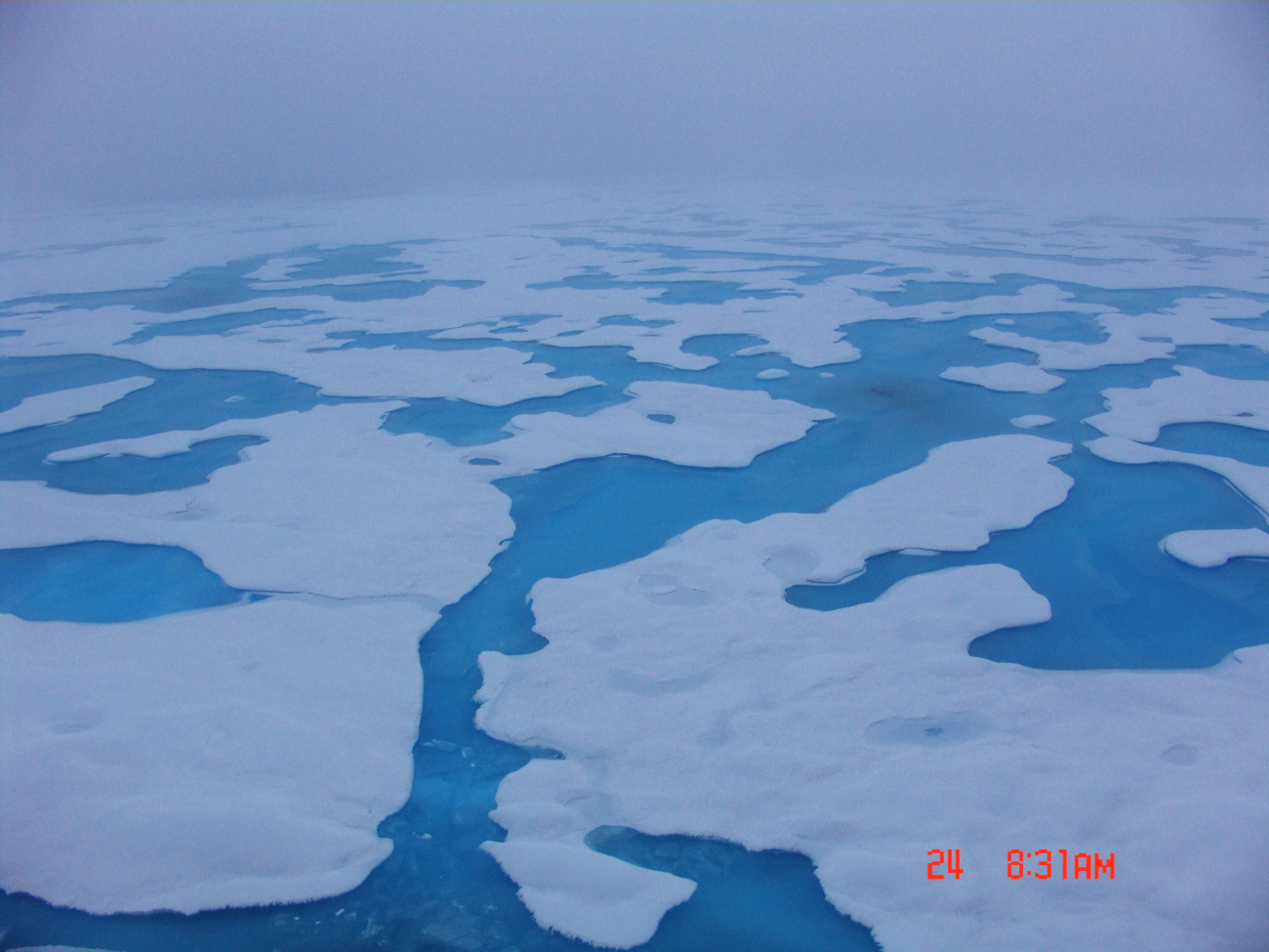 Aquamarine melt ponds in multi-year ice
