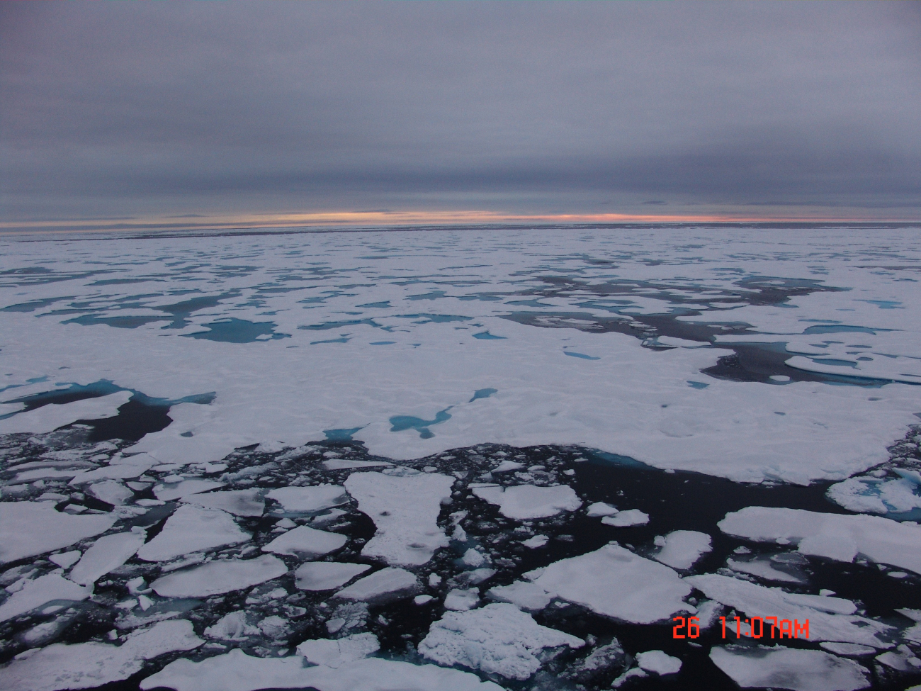 Small first- to second-year adjacent to area of multi-year floes with aquamarine melt ponds
