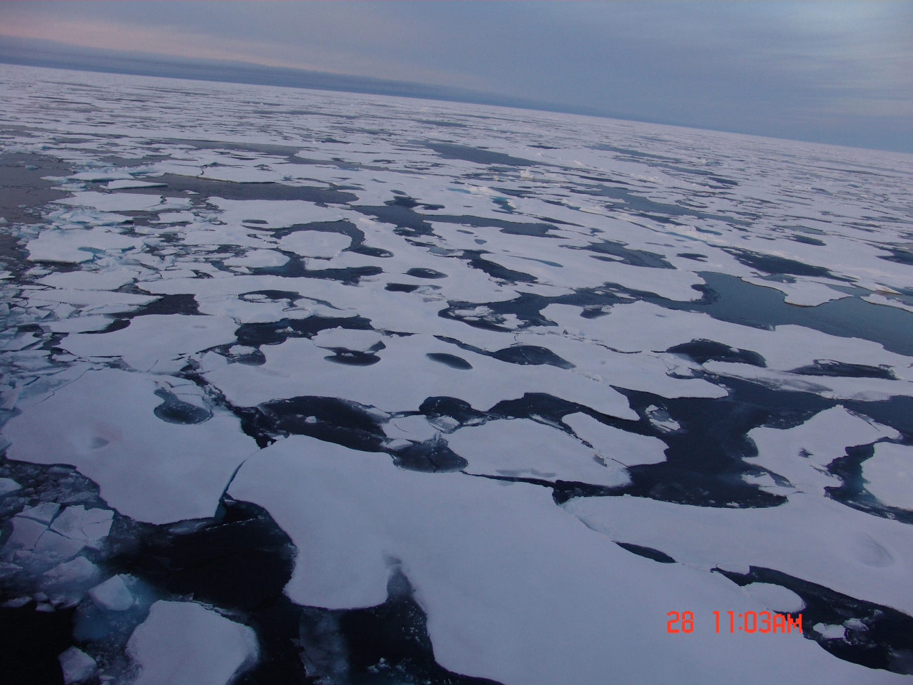 Relatively smooth ice floes in first-year ice