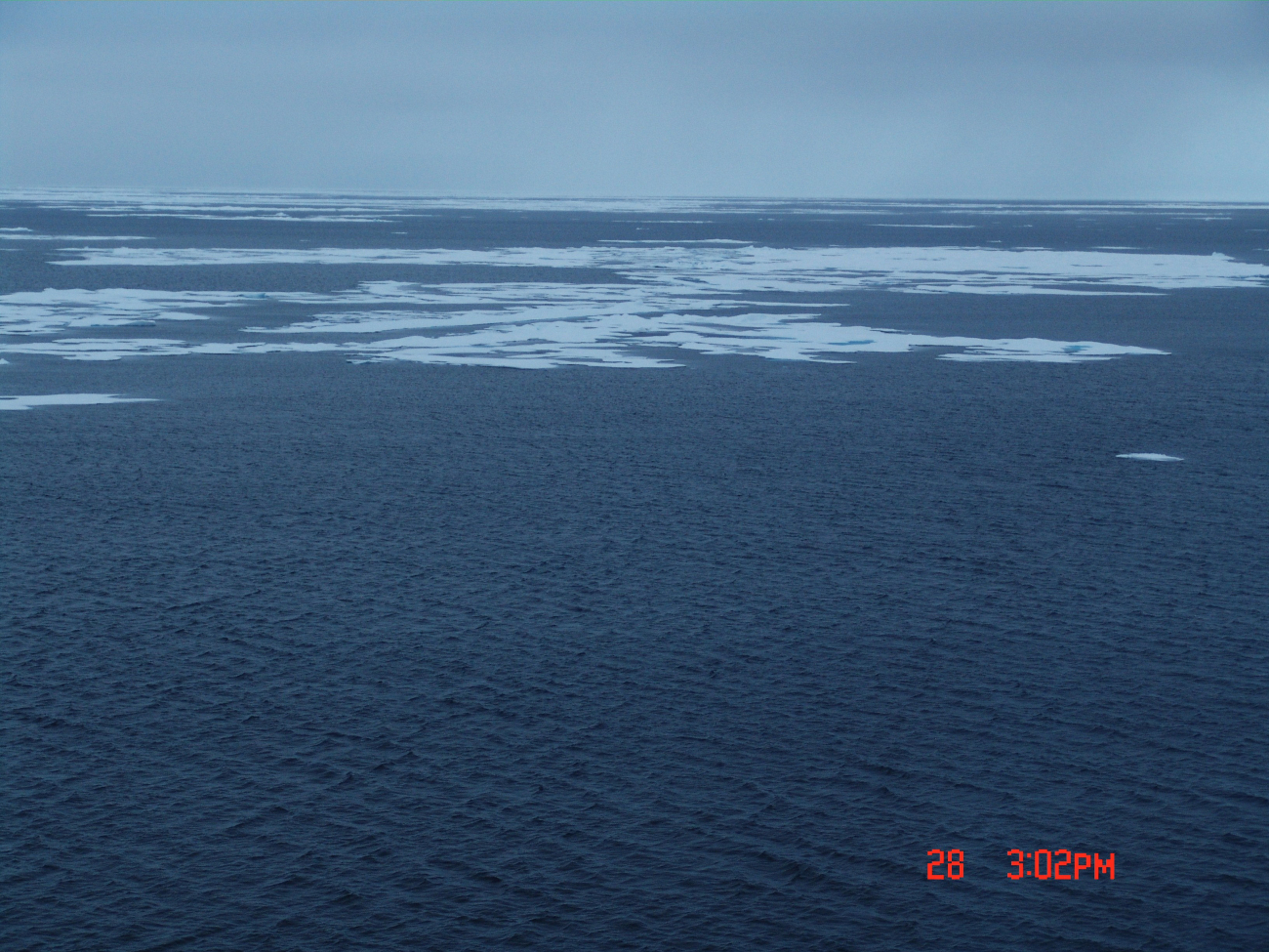 Open water and first-year ice floes