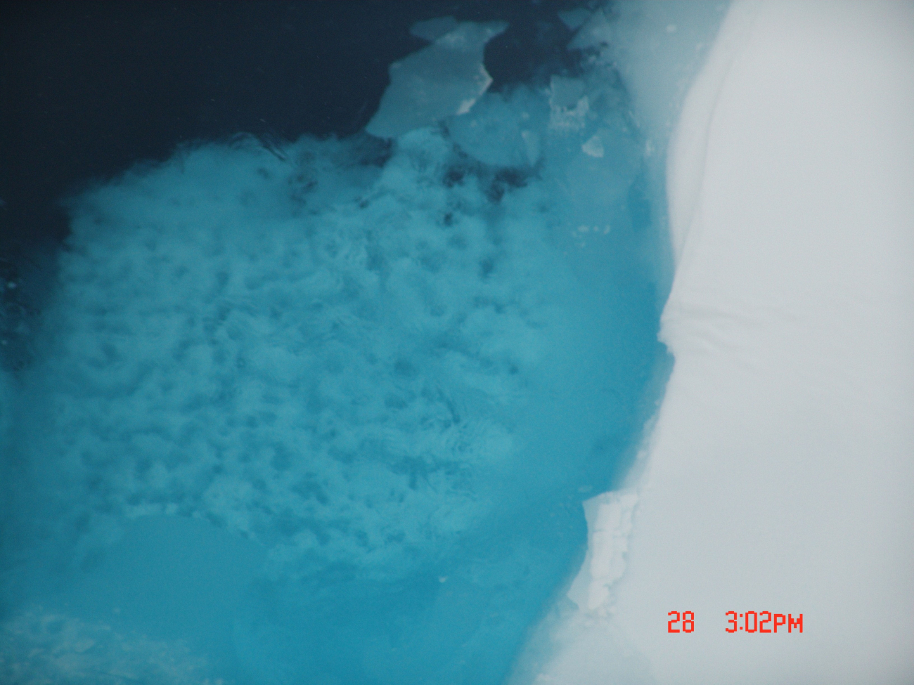 Looking down onto the edge of a melting ice floe