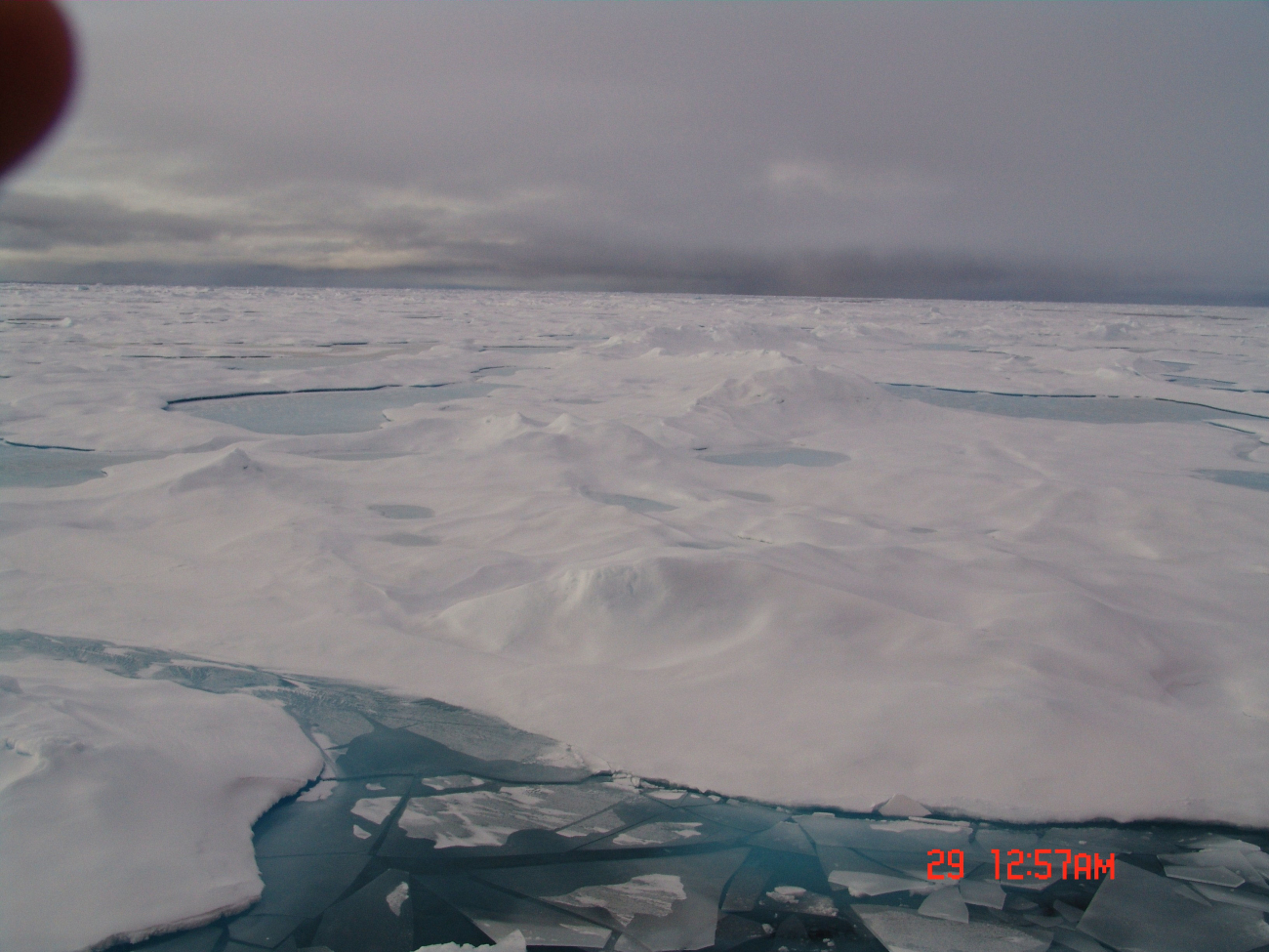 Classic view of multi-year ice with refreezing melt-ponds