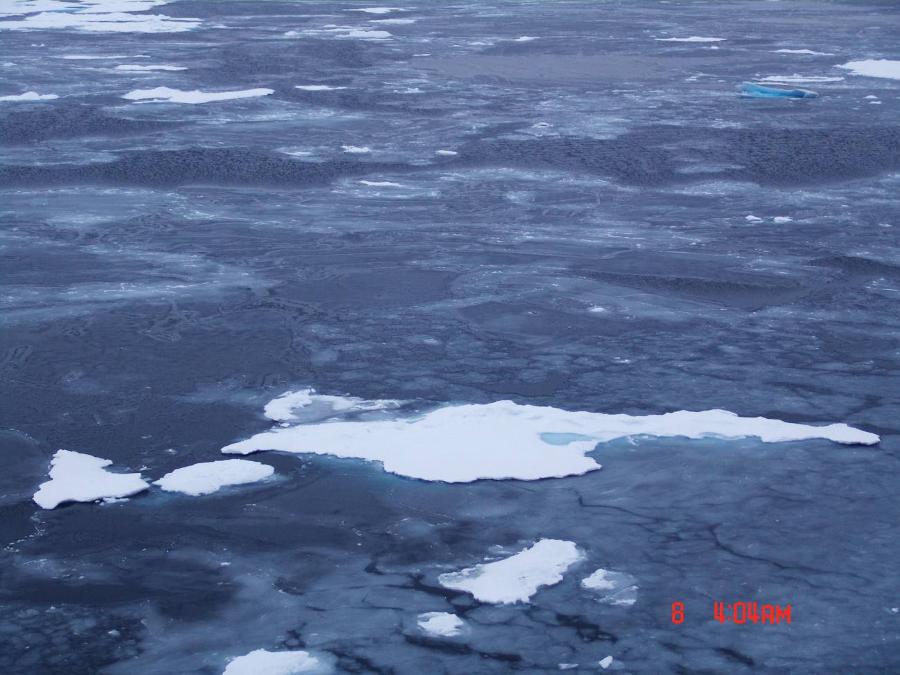Ice floe becoming locked in place as nilas and gray ice form