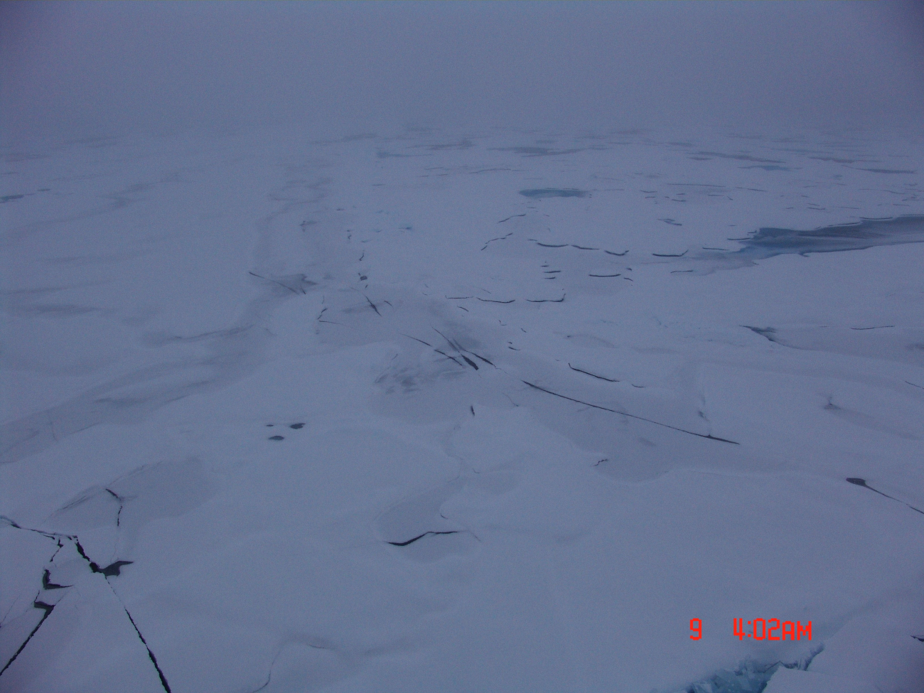 An area that has almost completely refrozen with snow covering refrozen andnew ice areas