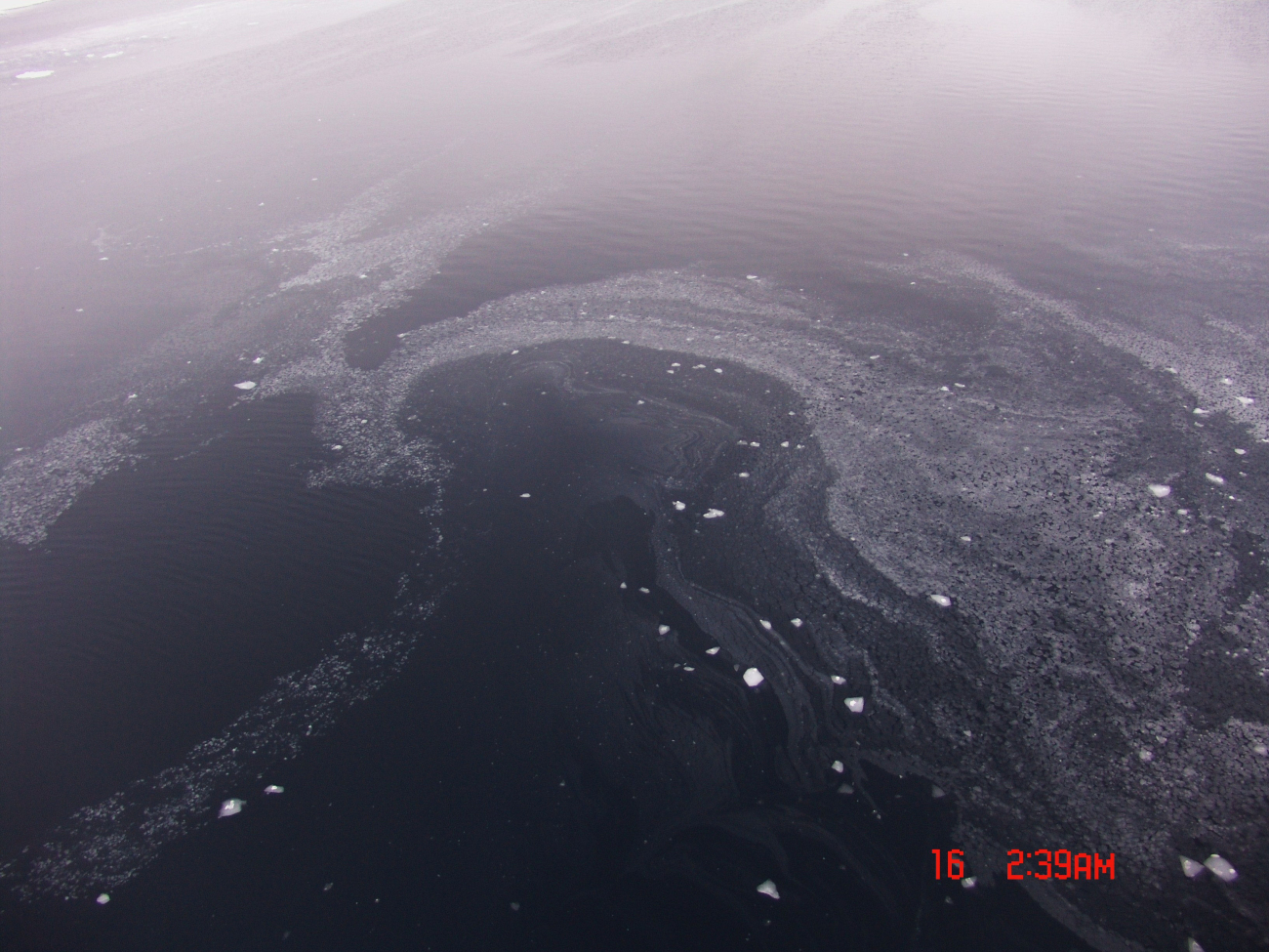 Swirls of nilas forming on open water