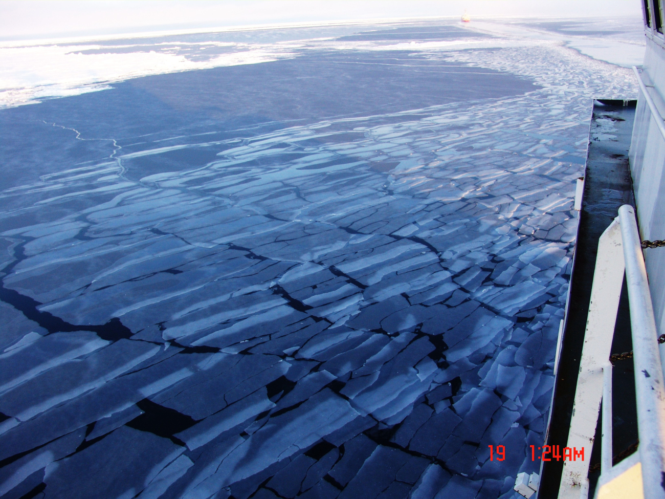 New grey ice cracking into rectangular sheets as the CGC HEALY plowsthrough new ice